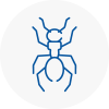 Ant Removals In Falmouth