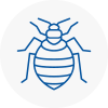 Bed Bug Extermination In Falmouth