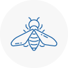 Bee Nest Removal Falmouth