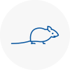 Mice Exterminators In Falmouth