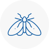 Moth Control Specialists In Falmouth