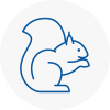 Falmouth Rodent Removals