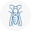 Falmouth Wasp Nest Removal